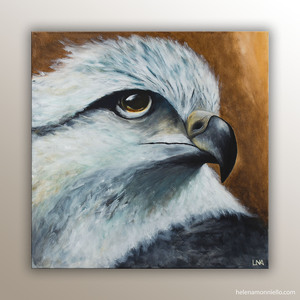 "Focus" : portrait animalier de l'artiste Helena Monniello représentant un faucon.